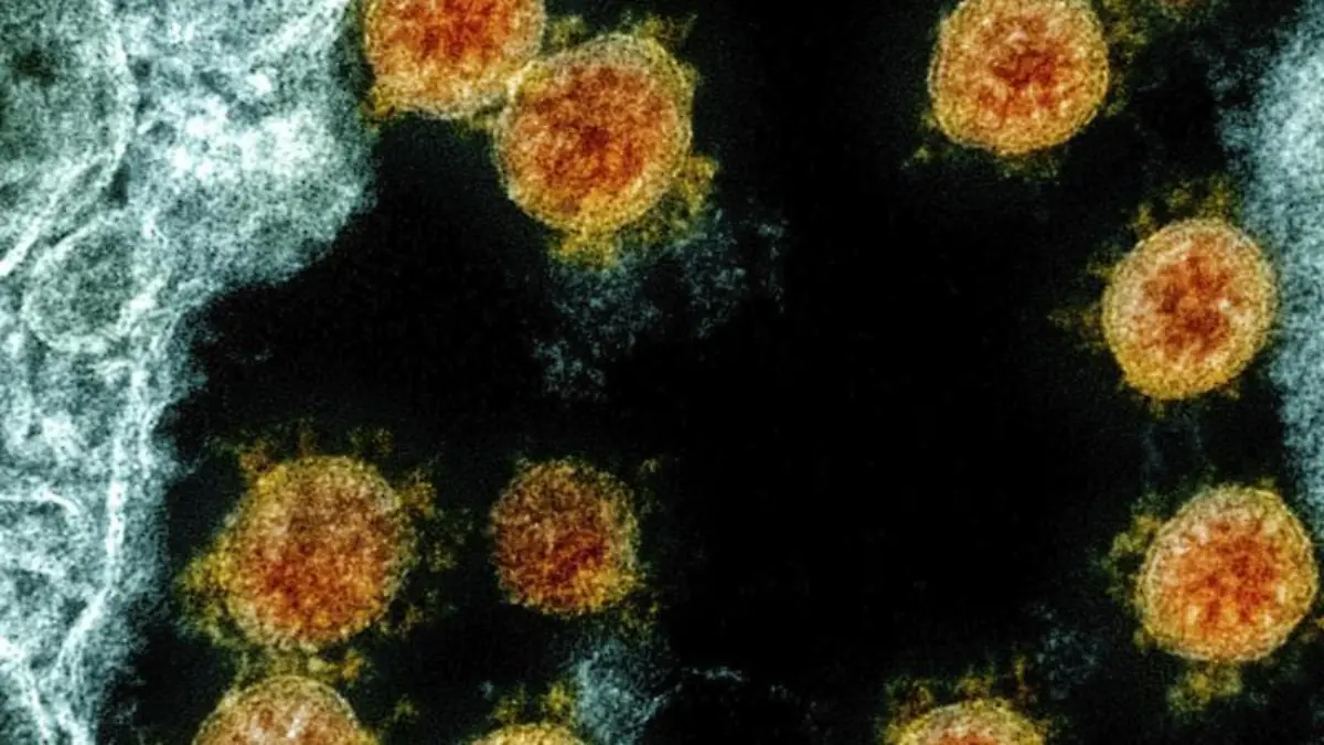 Coronavirus