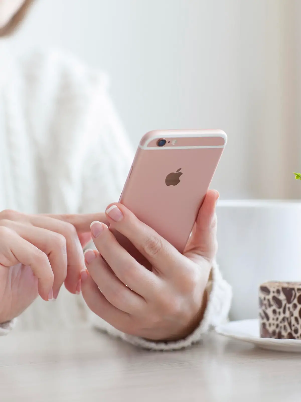 Alushta, Russia - October 25, 2015: Woman holding in the hand iPhone 6 S Rose Gold in cafe. iPhone 6S was created and developed by the Apple inc.