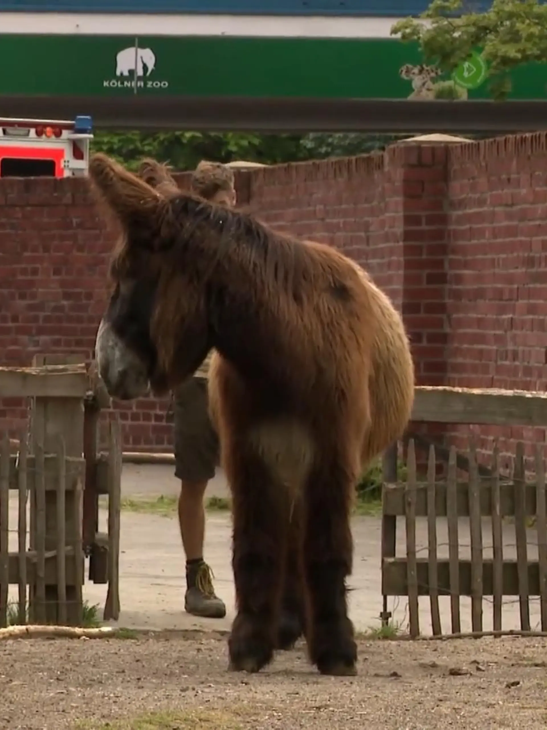 Bild zu: "RTL WEST Orakel"