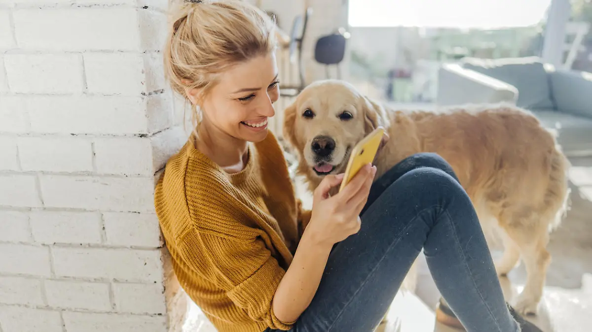 Patzo bringt Hundehalter und potentielle Hundepaten zusammen.