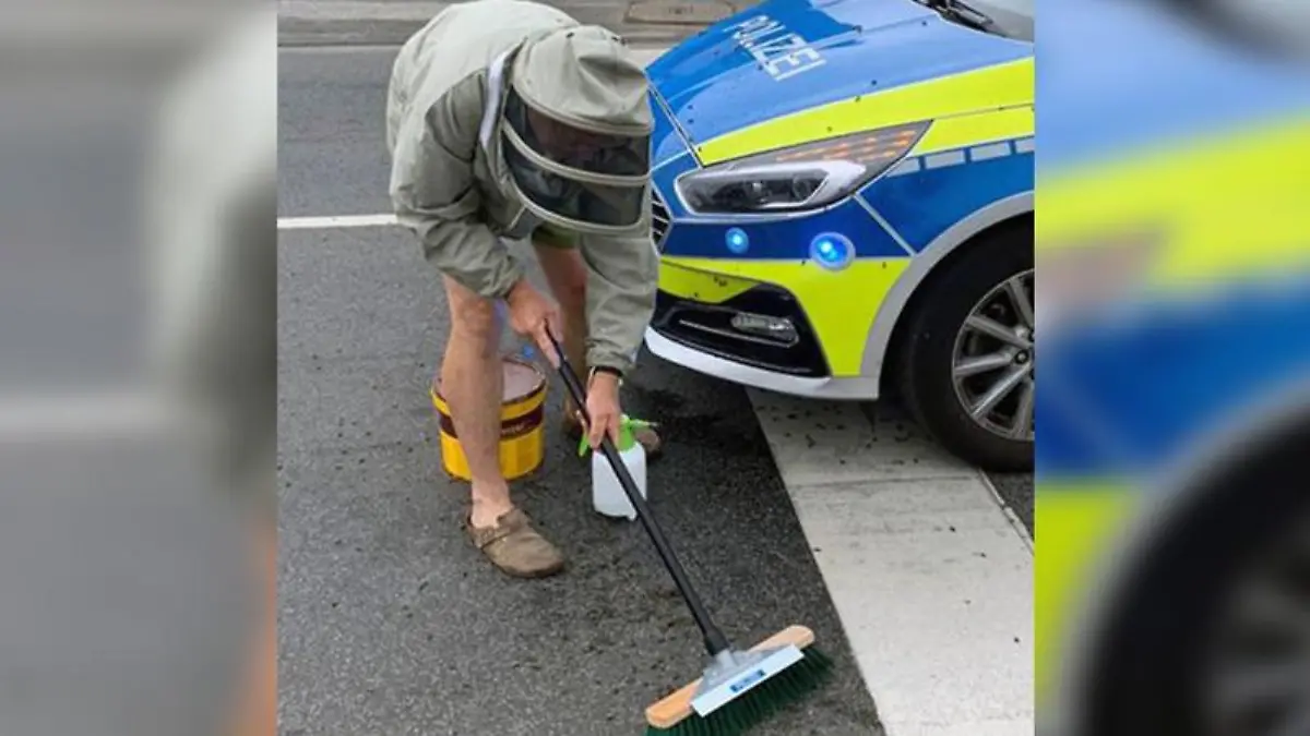 Polizei Köln sperrt Straße. Imker rettet Bienenvolk.
