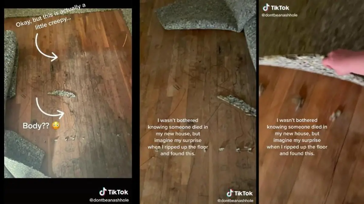 Es mutet an wie in einem Krimi: In der Wohnung dieser Frau befand sich unter einem alten Teppich angeblich der Umriss einer Leiche. Das Video dazu wurde bei TikTok zum Clickhit.