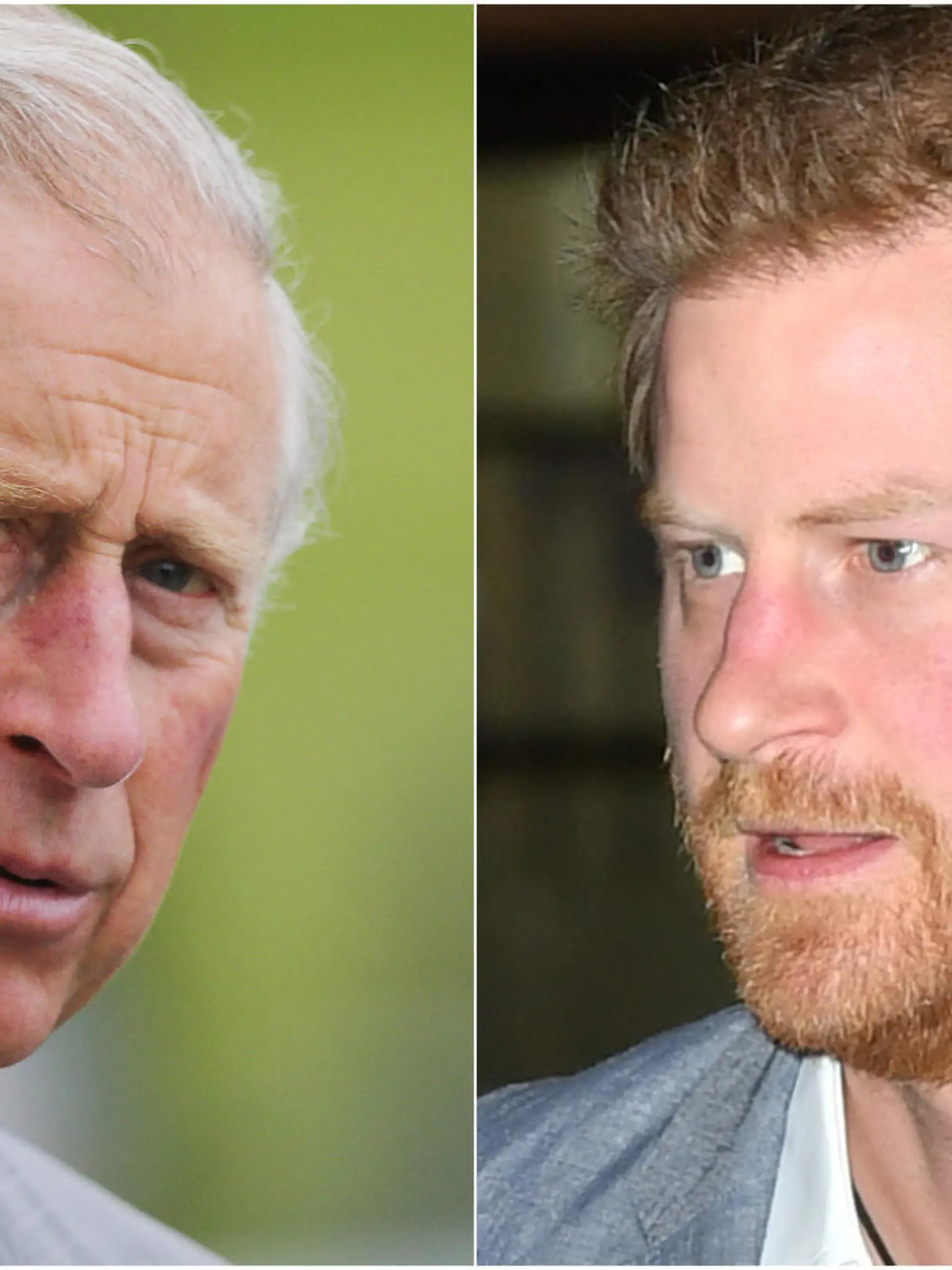 Prinz Charles (l.) wird seinen Sohn Prinz Harry im Juli nicht treffen.