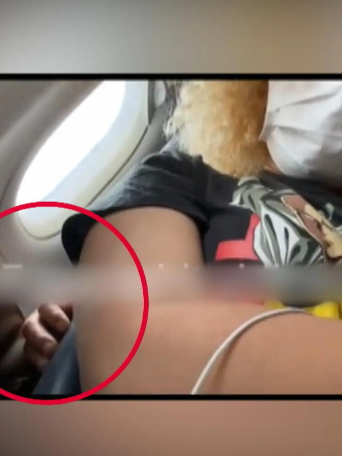 Bild zu: "Die Flugbegleiter griffen nicht ein"