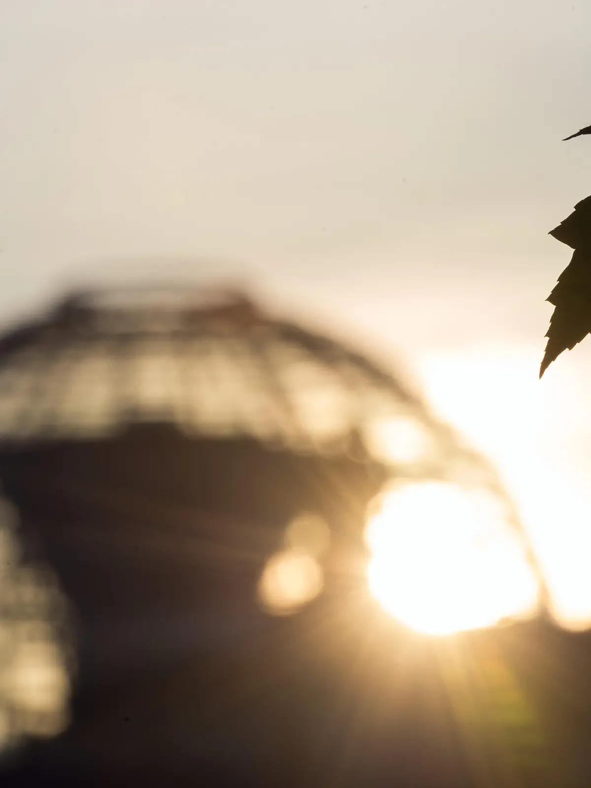 Ein welkes Blatt weht am Morgen des 01.11..2015 vor der Kulisse der Reichstagskuppel in Berlin. Foto: Soeren Stache/dpa +++(c) dpa - Bildfunk+++