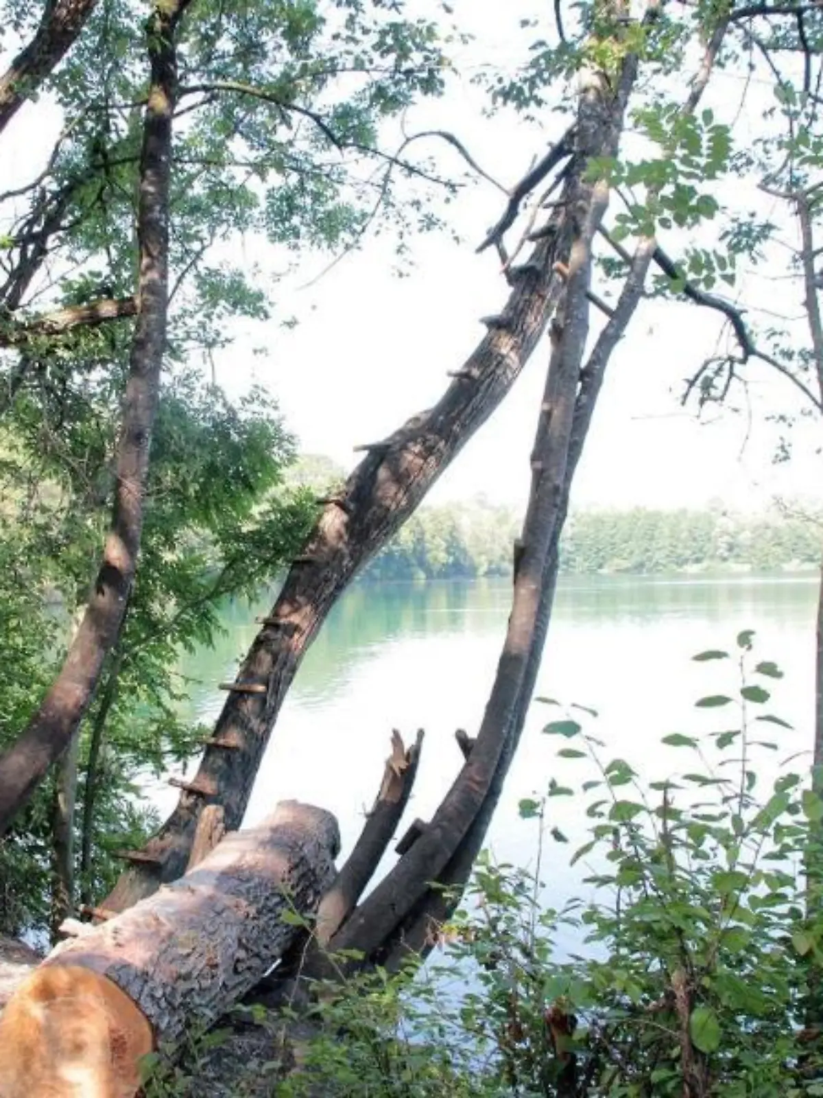 Schwerer Unfall an Badesee
