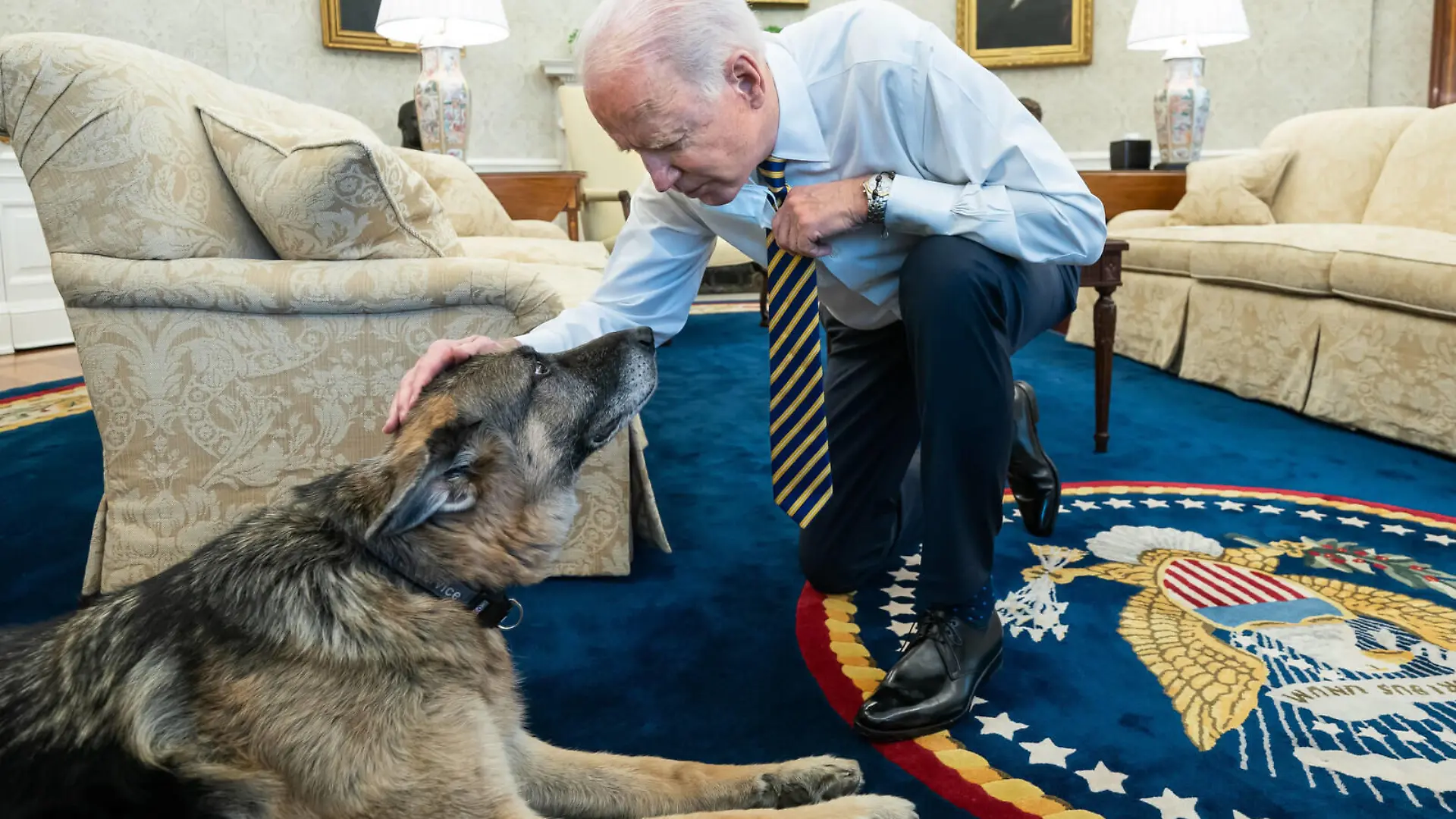 Feb 24, 2021 - Washington, District of Colombia, USA - President Joe Biden pets the Biden family dog Champ in the Oval Office of the Wednesday, Feb. 24, 2021, prior to a bipartisan meeting with House and Senate members to discuss supply chains. Washington USA - ZUMAz03_ 20210224_sha_z03_482 Copyright: xWhitexHousex 