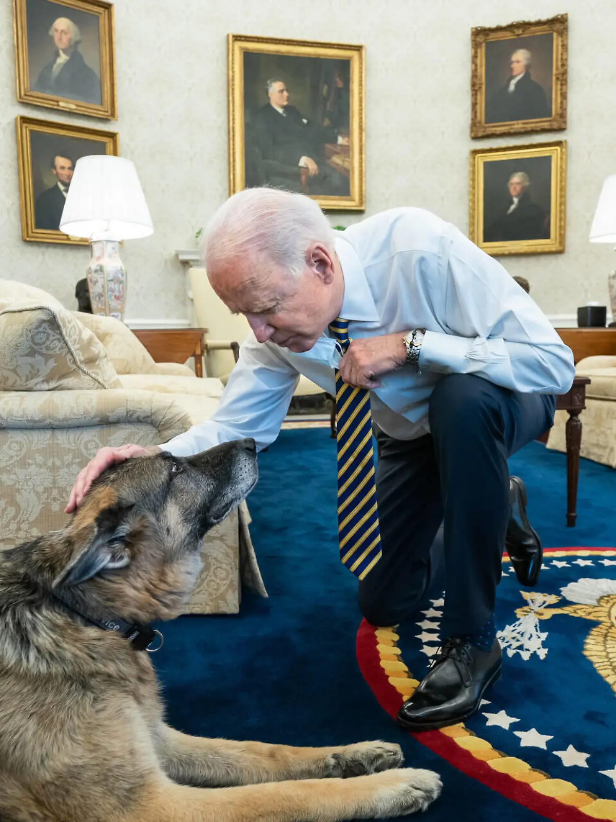 Feb 24, 2021 - Washington, District of Colombia, USA - President Joe Biden pets the Biden family dog Champ in the Oval Office of the Wednesday, Feb. 24, 2021, prior to a bipartisan meeting with House and Senate members to discuss supply chains. Washington USA - ZUMAz03_ 20210224_sha_z03_482 Copyright: xWhitexHousex 