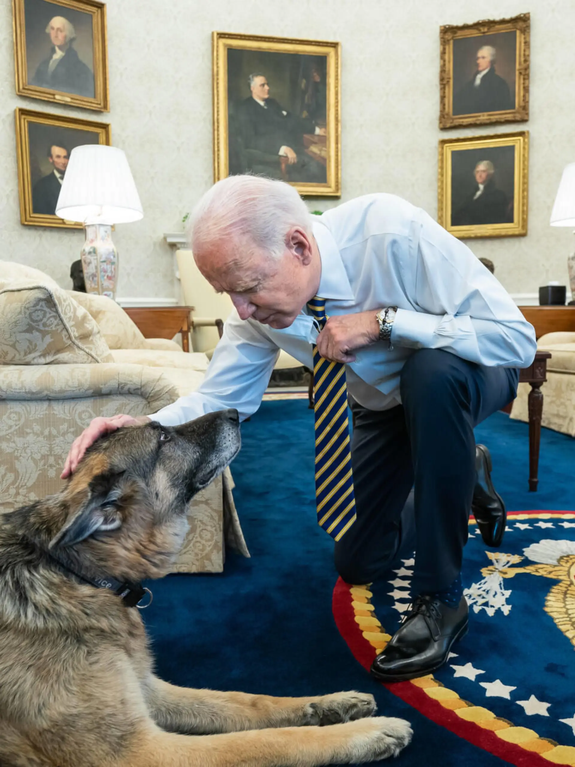 Feb 24, 2021 - Washington, District of Colombia, USA - President Joe Biden pets the Biden family dog Champ in the Oval Office of the Wednesday, Feb. 24, 2021, prior to a bipartisan meeting with House and Senate members to discuss supply chains. Washington USA - ZUMAz03_ 20210224_sha_z03_482 Copyright: xWhitexHousex 