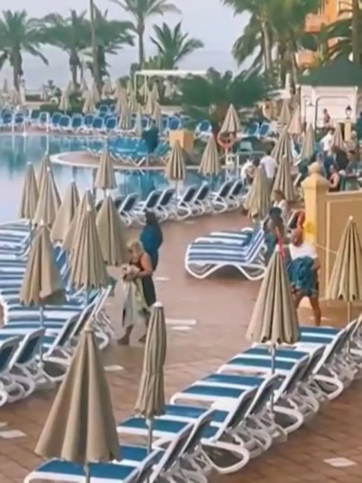 Hier stürmen die Urlaub auf Teneriffa auf die Liegen los.