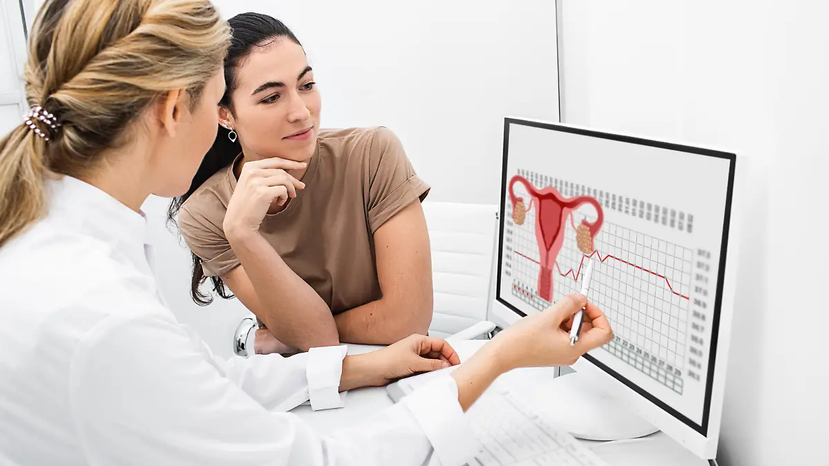 Eine Gynäkologin kommuniziert mit ihrer Patientin und erklärt ihr ihren Monatszyklus, wann die Periode auftritt und wann der Eisprung stattfindet.