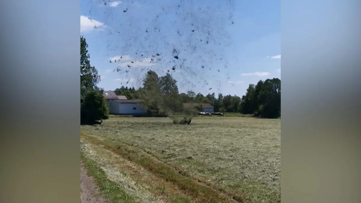 So sieht ein Heuteufel aus! Kleiner Wirbelsturm gesichtet