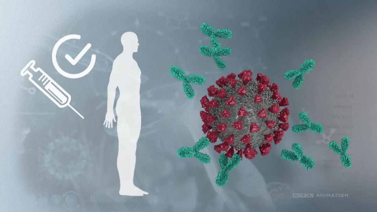 Was passiert im Körper, wenn das Virus angreift? Komplett gegen Corona geimpft: