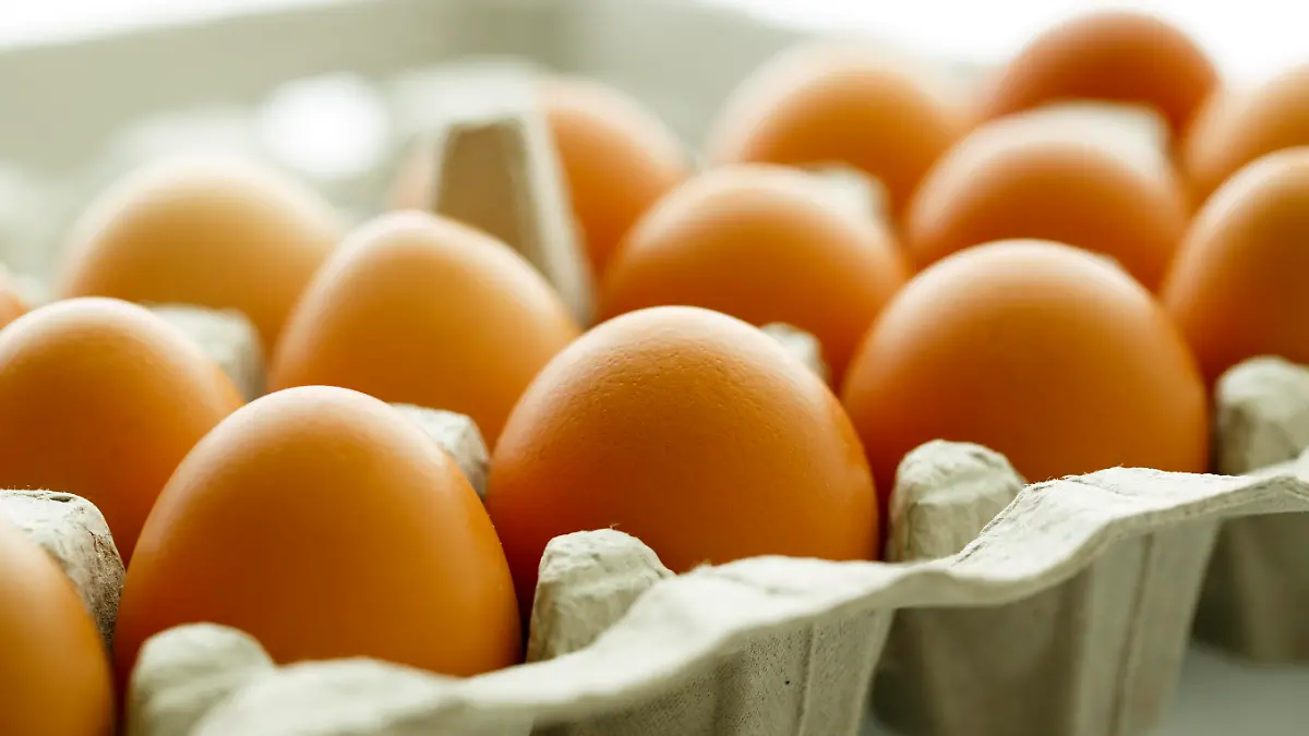 Brown Eggs in a Carton