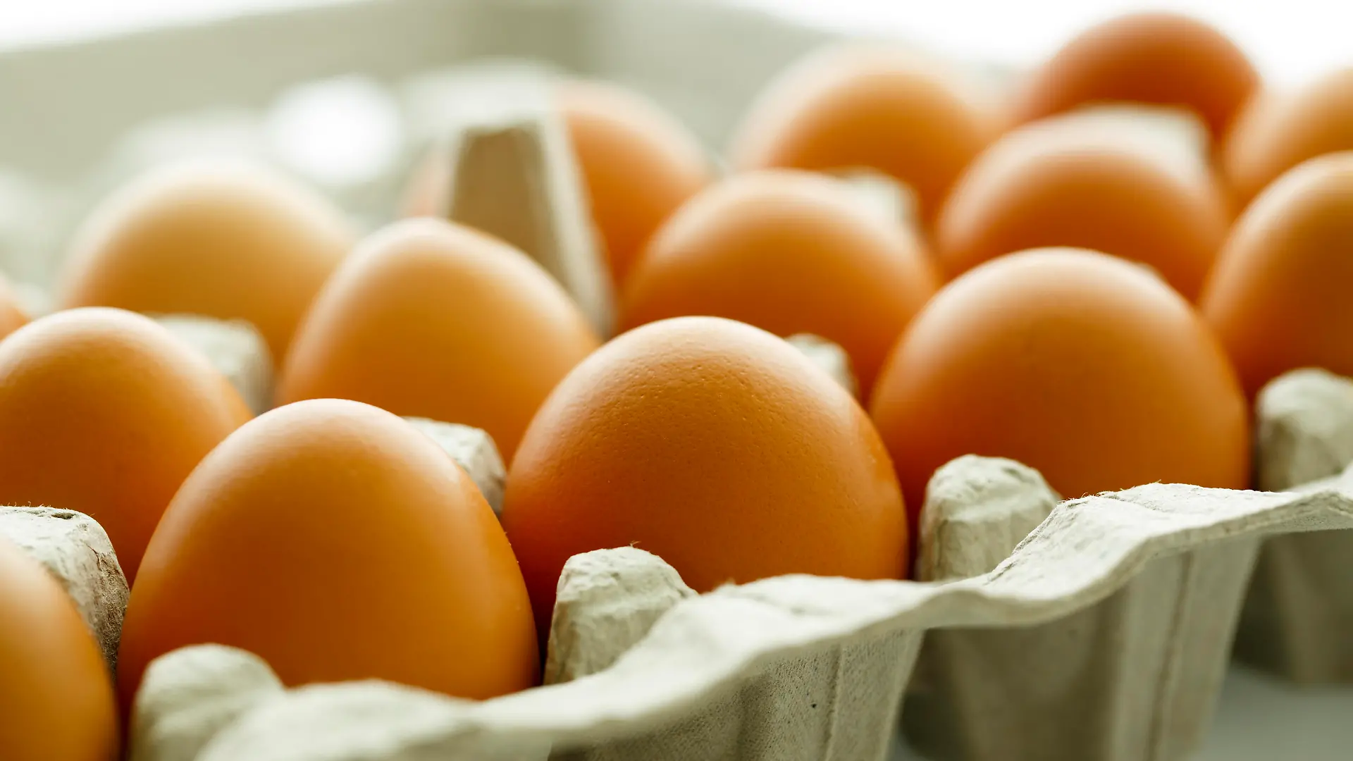 Brown Eggs in a Carton