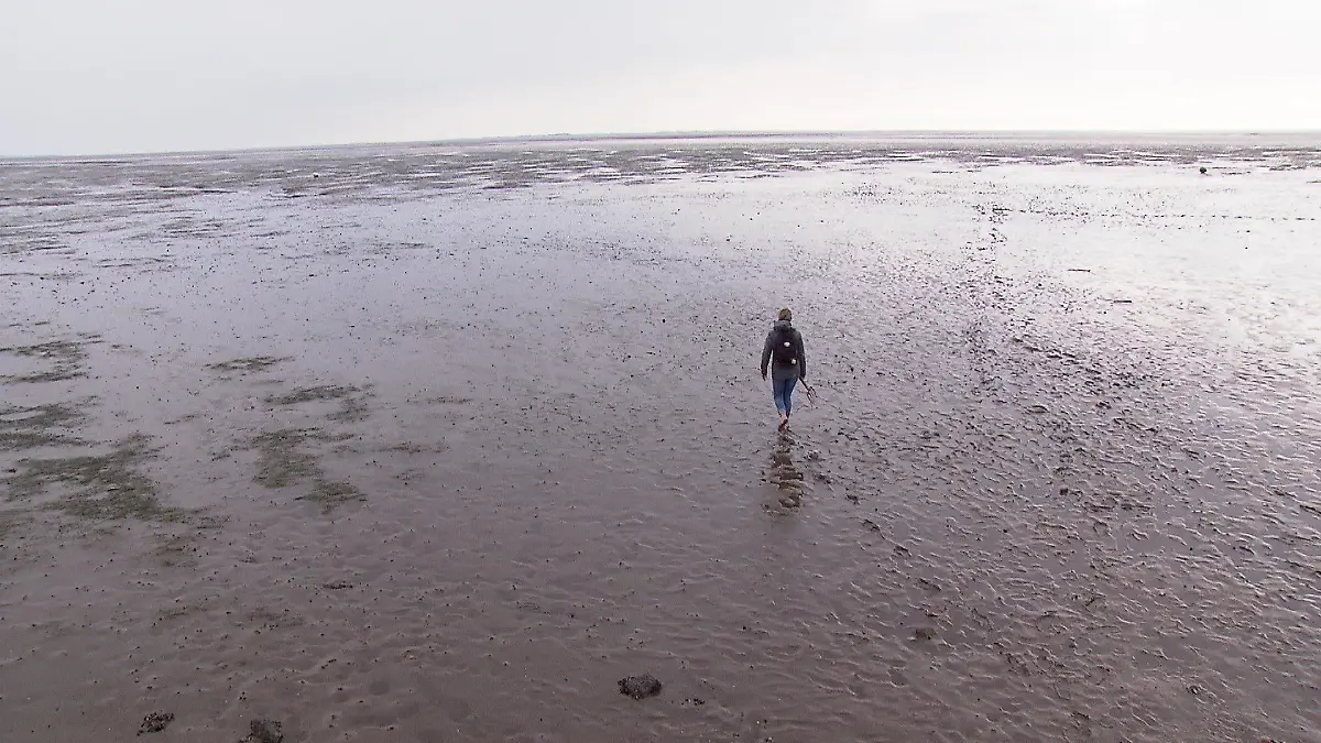 Wattenmeer