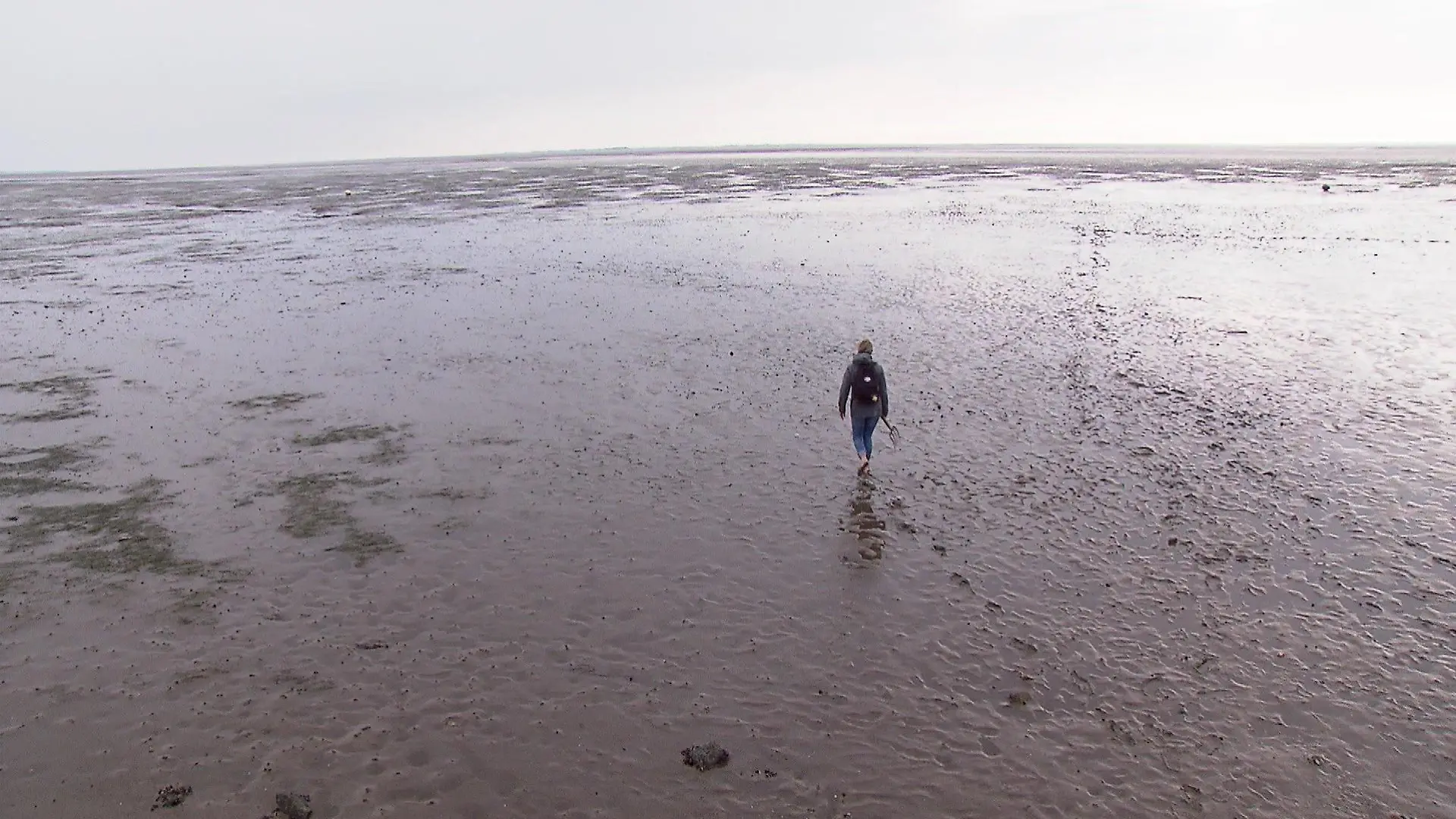 Wattenmeer