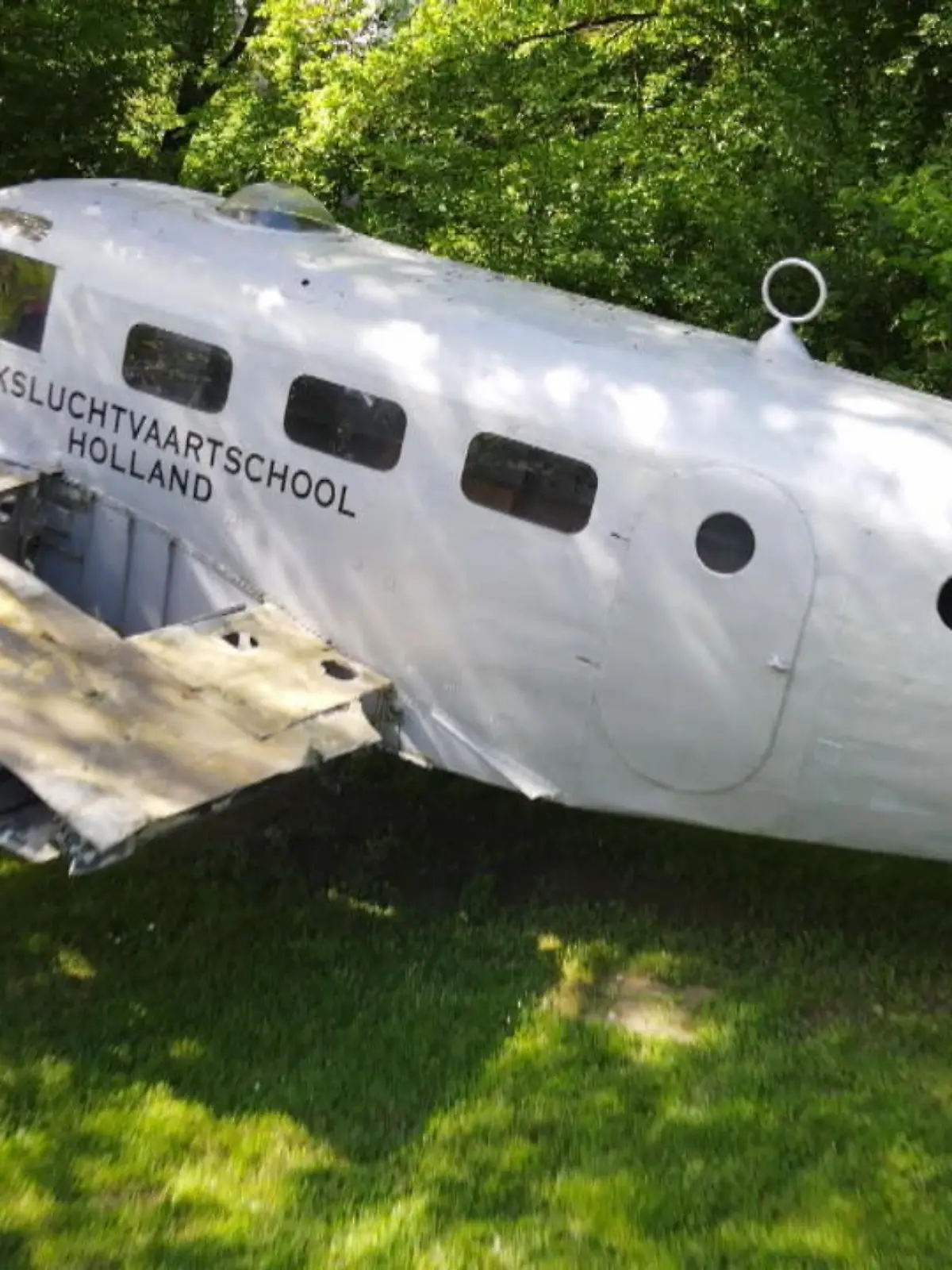 Bild zu: "Mann hat Flugzeug im Garten"