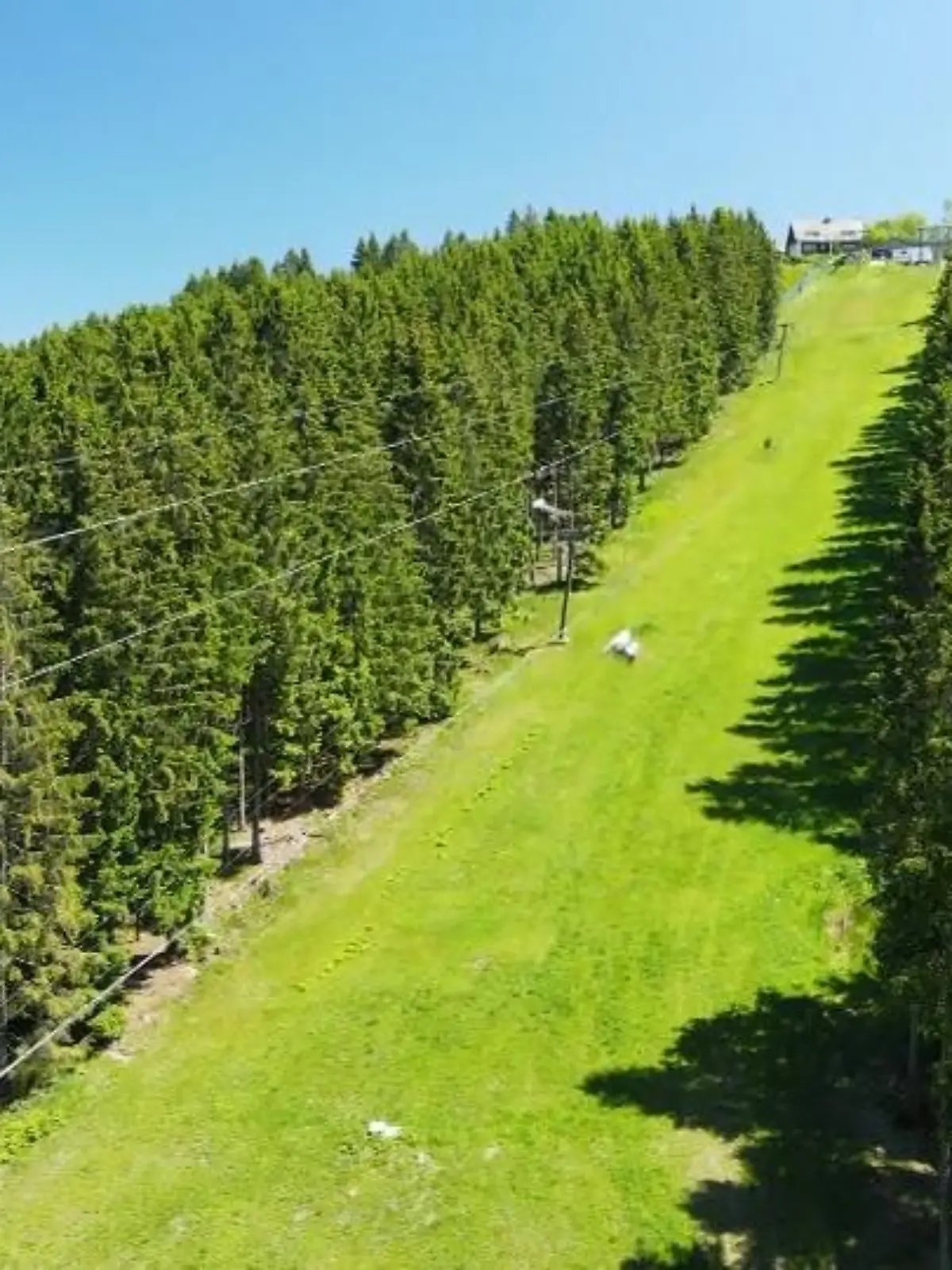 Bild zu: "Doppelseilrutsche in Winterberg"