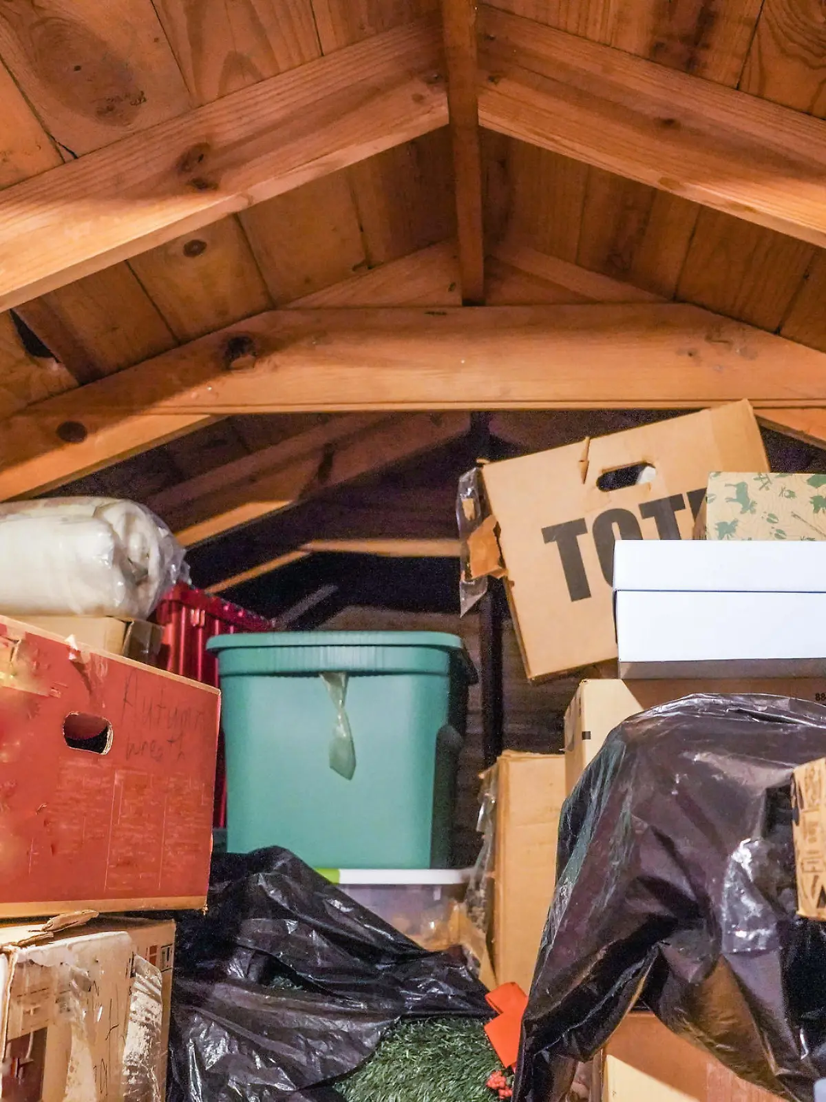 A disorganized attic. loft, or crawl-space above the residential garage.
