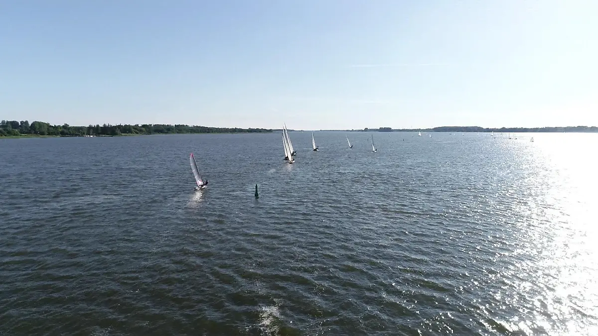 Wasserratten kommen an der Schlei auf ihre Kosten