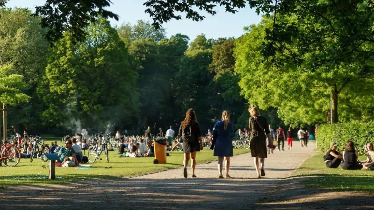 Sonnenschein im Schrevenpark