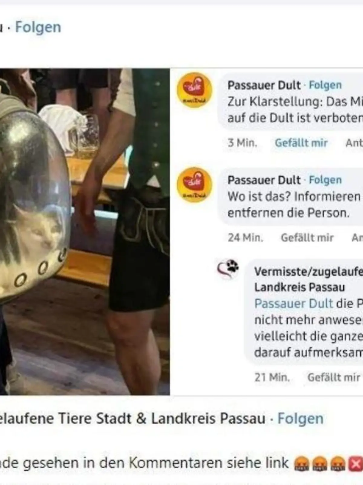 Unter einem Beitrag des Tierheims Passau wurde das Foto von einer Katze, die eine Person in einem transparenten Rucksack mit ins Bierzelt nahm, veröffentlicht.