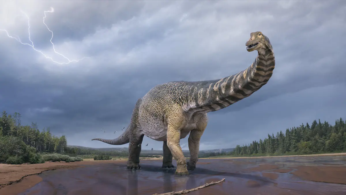 HANDOUT - 11.07.2018, Australien, ---: Eine künstlerische Darstellung zeigt den Dinosaurier Australotitan cooperensis, oder den Südtitan. Paläontologen haben bestätigt, dass Queensland einst die Heimat eines der größten Dinosaurier der Welt war.    (zu dpa "Titan aus der Kreidezeit: Neue Dinosaurierart in Australien bestimmt") Foto: Vlad Konstantinov/Scott Hocknul/Queensland Museum/The Eromanga Natural History Museum/AAP/dpa - ACHTUNG: Nur zur redaktionellen Verwendung im Zusammenhang mit der aktuellen Berichterstattung und nur mit vollständiger Nennung des vorstehenden Credits +++ dpa-Bildfunk +++