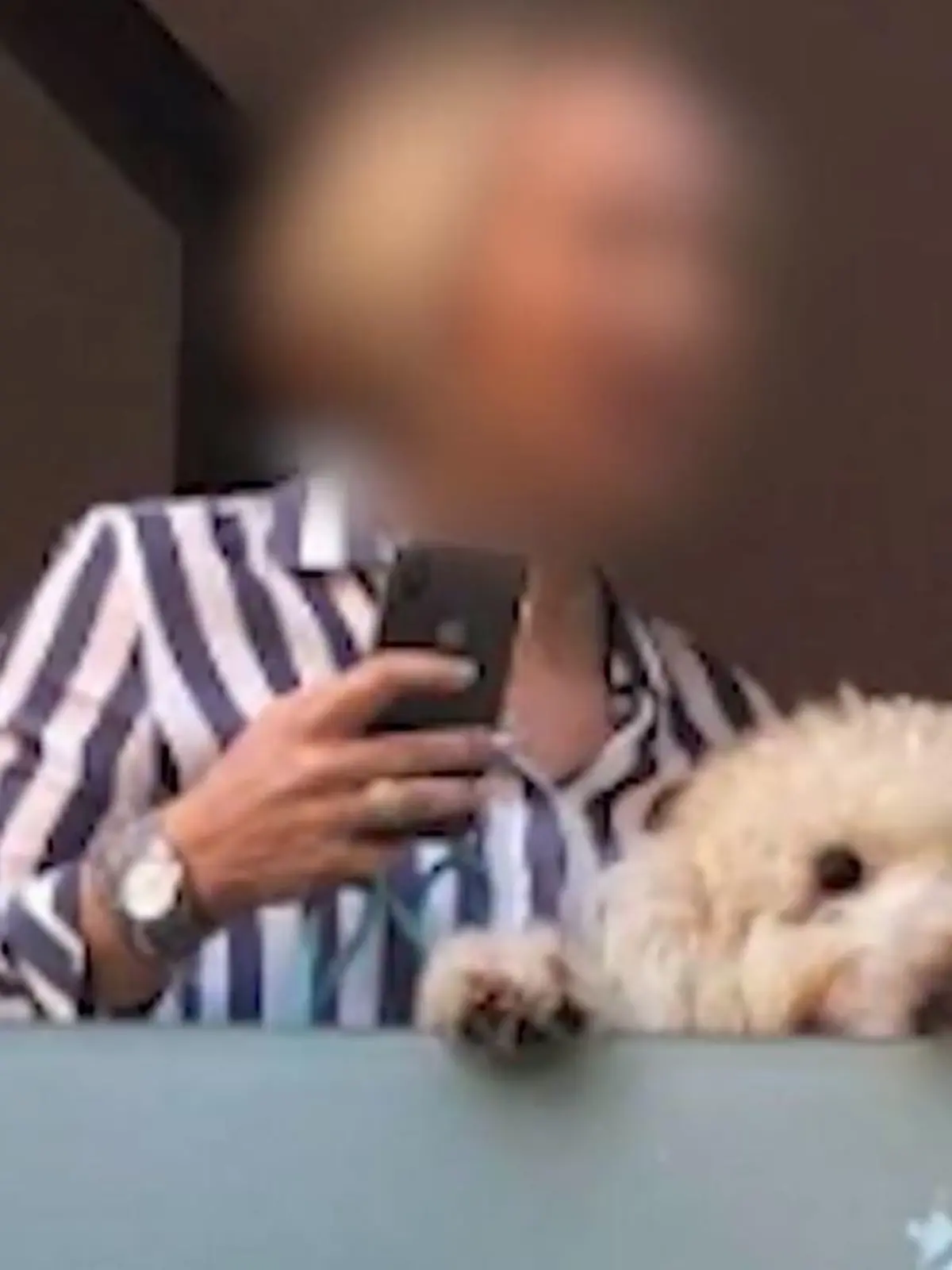 Angeklagte mit Hund