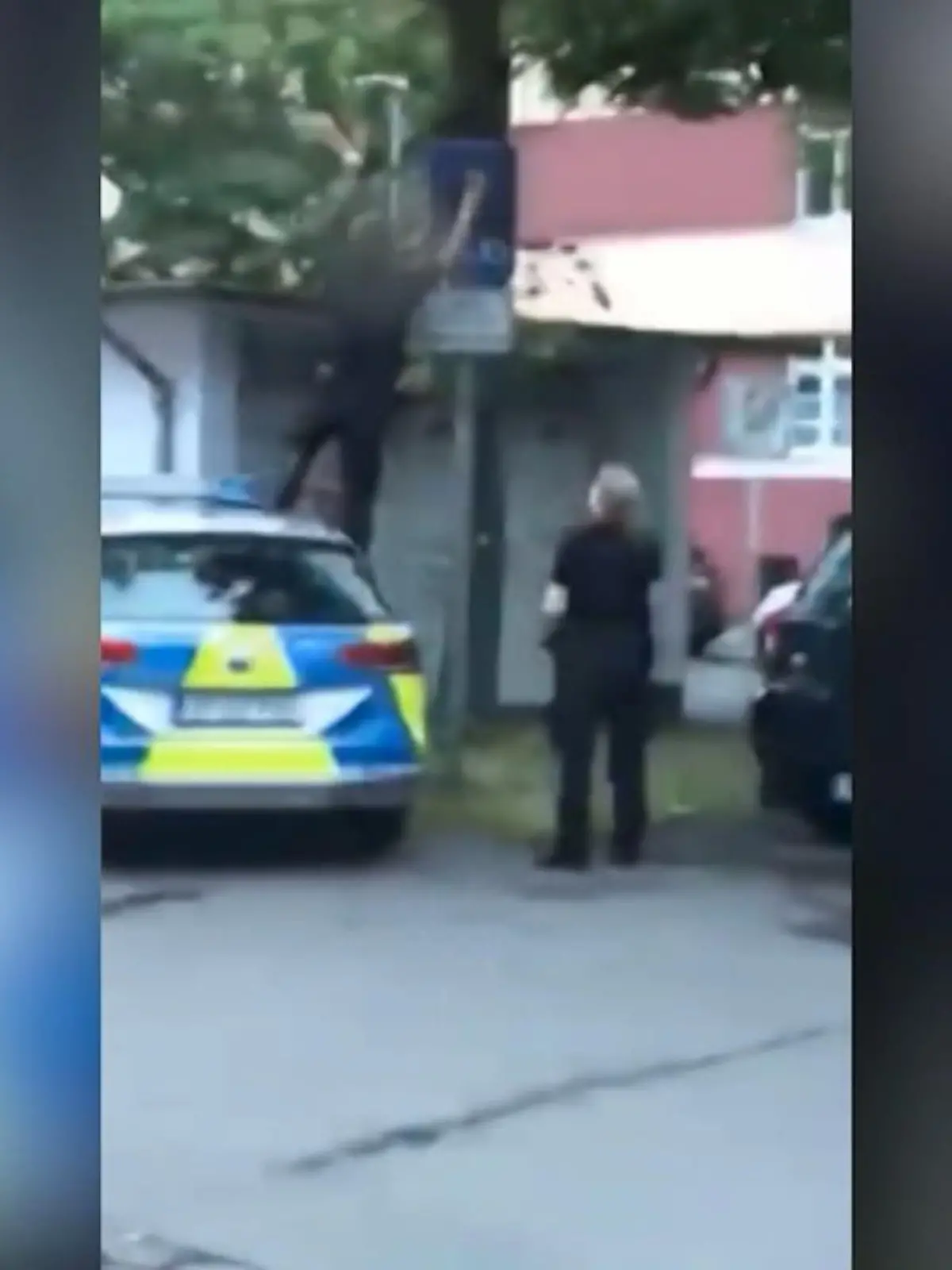 Bild zu: "Polizist zerkratzt Verkehrsschild"