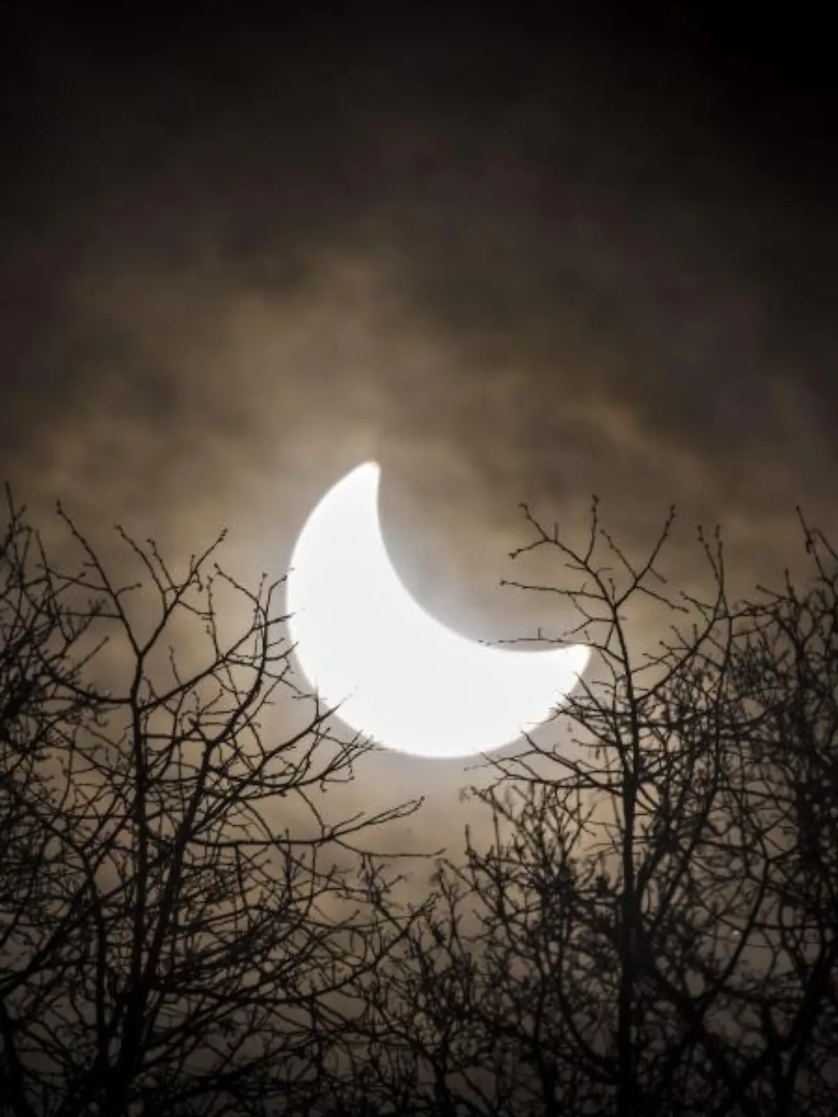 Der Mond hat sich vor die Sonne geschoben