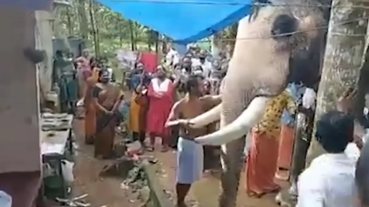 Elefant nimmt Abschied von Besitzer Trauerzeremonie in Indien