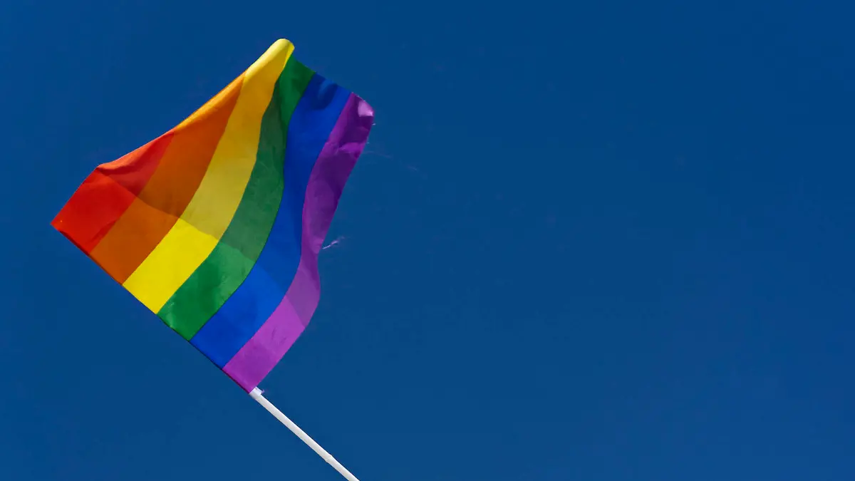 Arm waving LGBTQ pride flag model released Symbolfoto CJMF00301