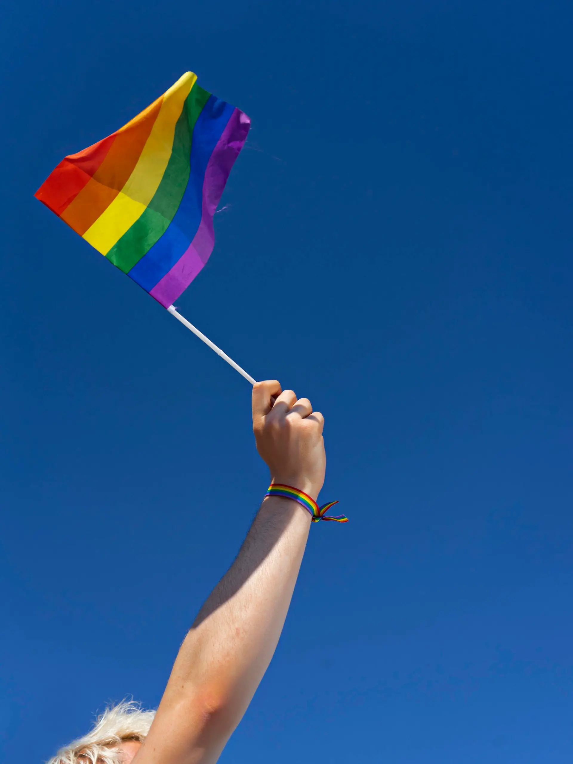 Arm waving LGBTQ pride flag model released Symbolfoto CJMF00301 