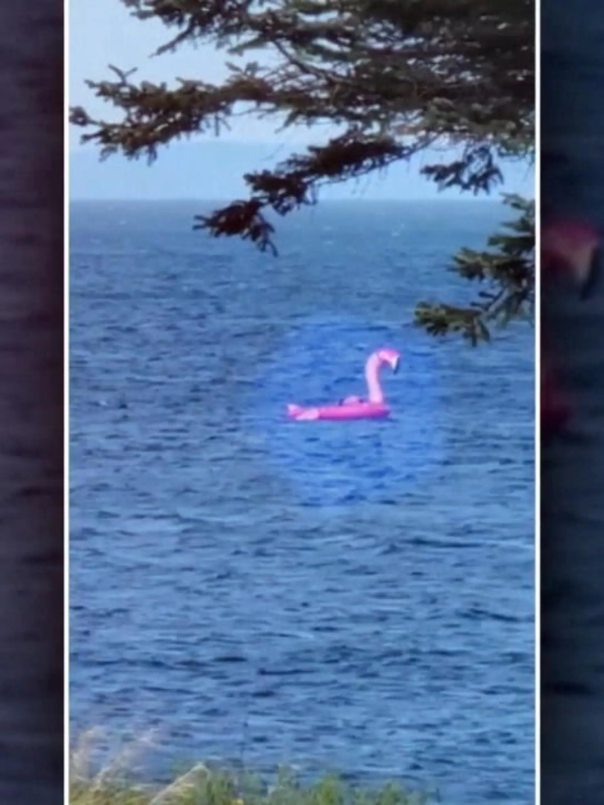 Bild zu: "Gruppe von Flamingo-Floß gerettet"