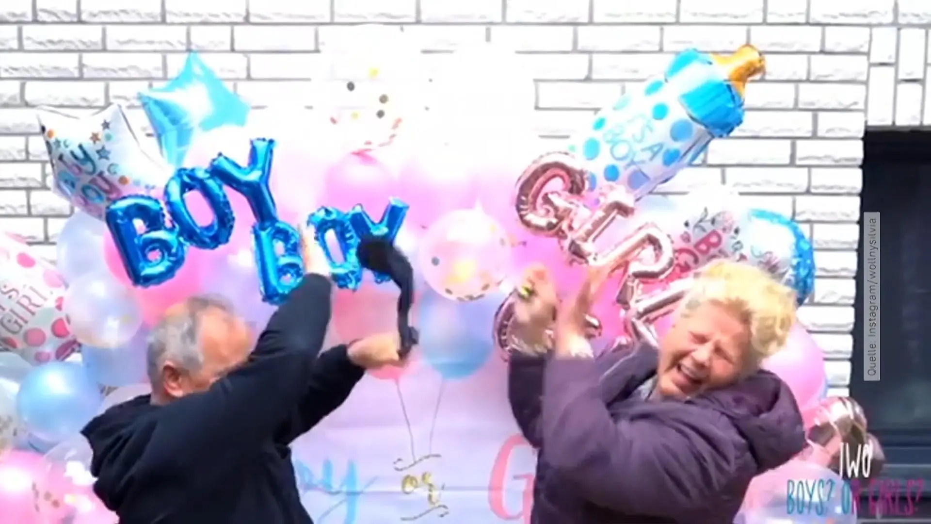 Die Wollnys enthüllen die Zwillings-Geschlechter Fail beim Gender Reveal