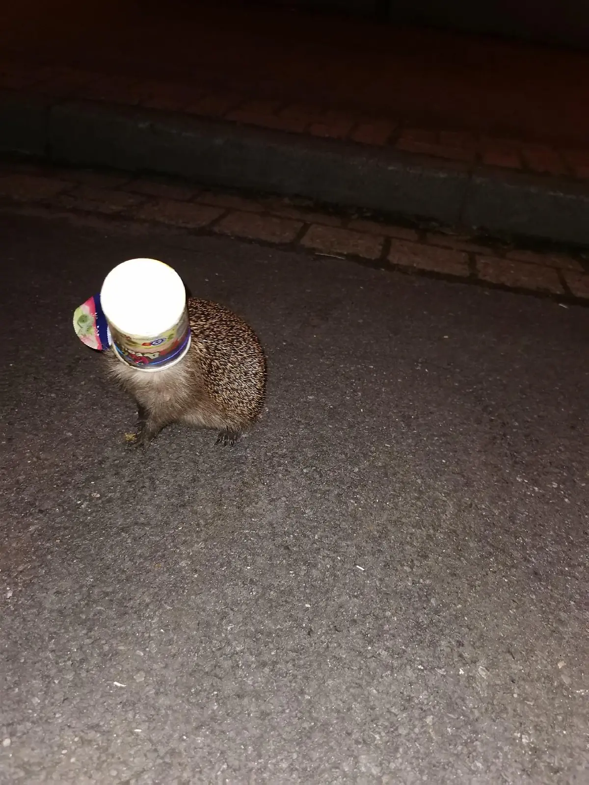 Igel1111