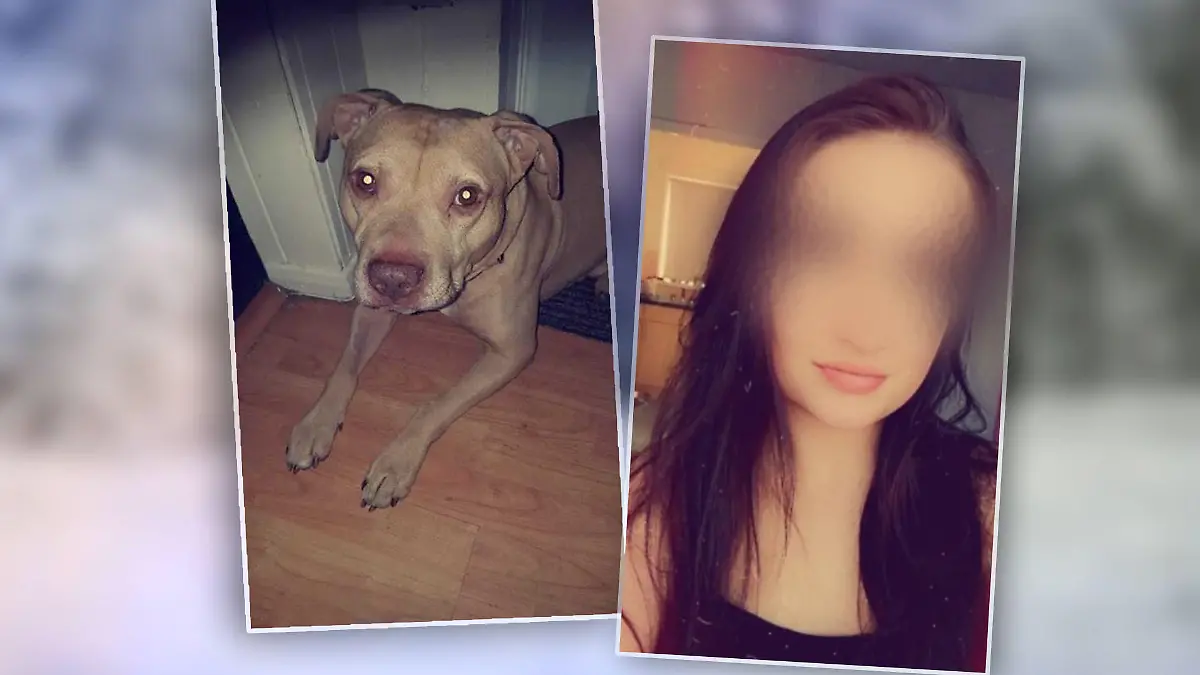 Hund beißt Frau tot