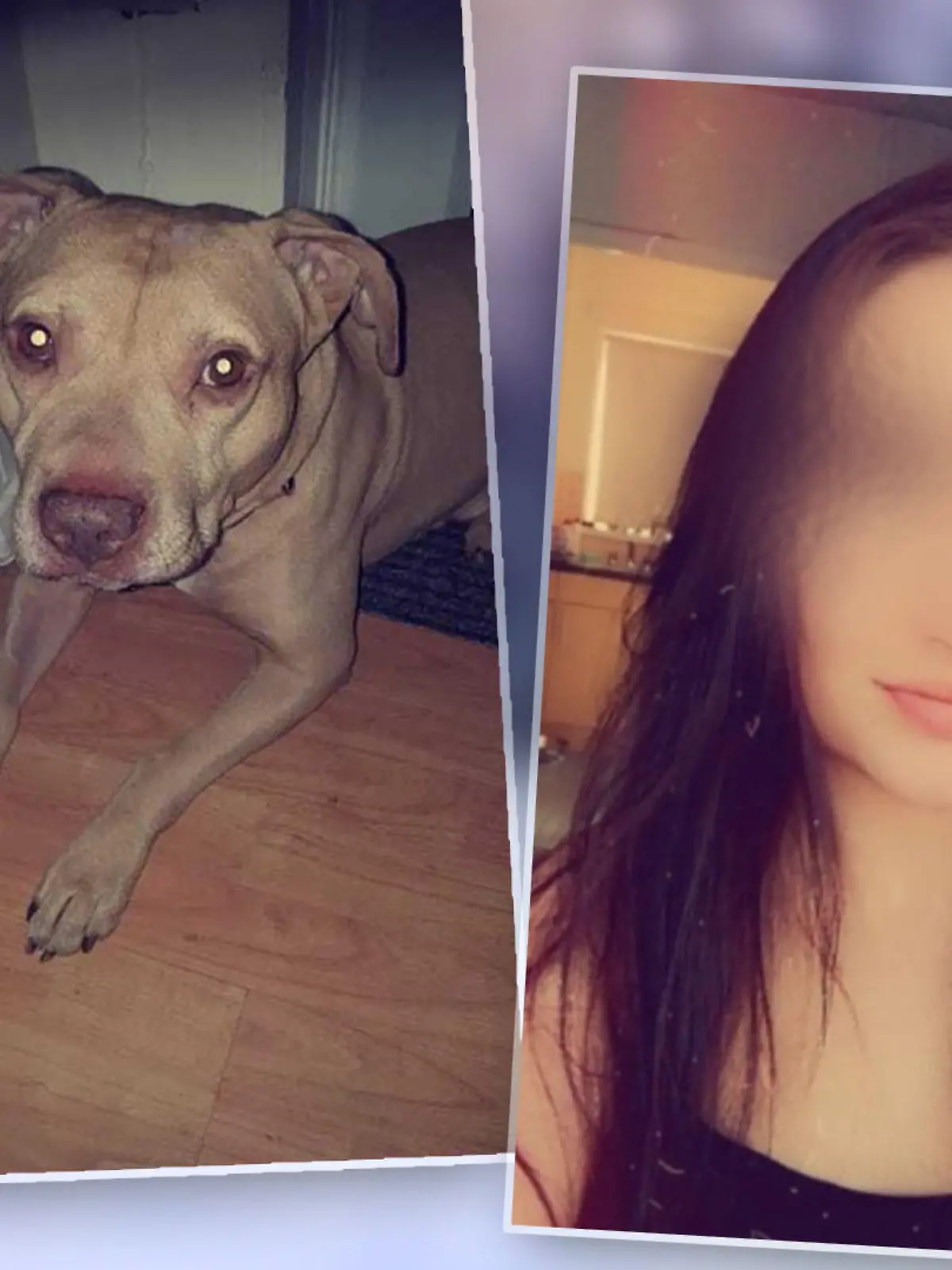 Hund beißt Frau tot