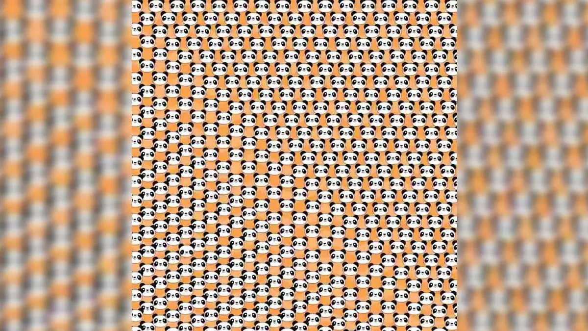 Suchbild trauriger Panda