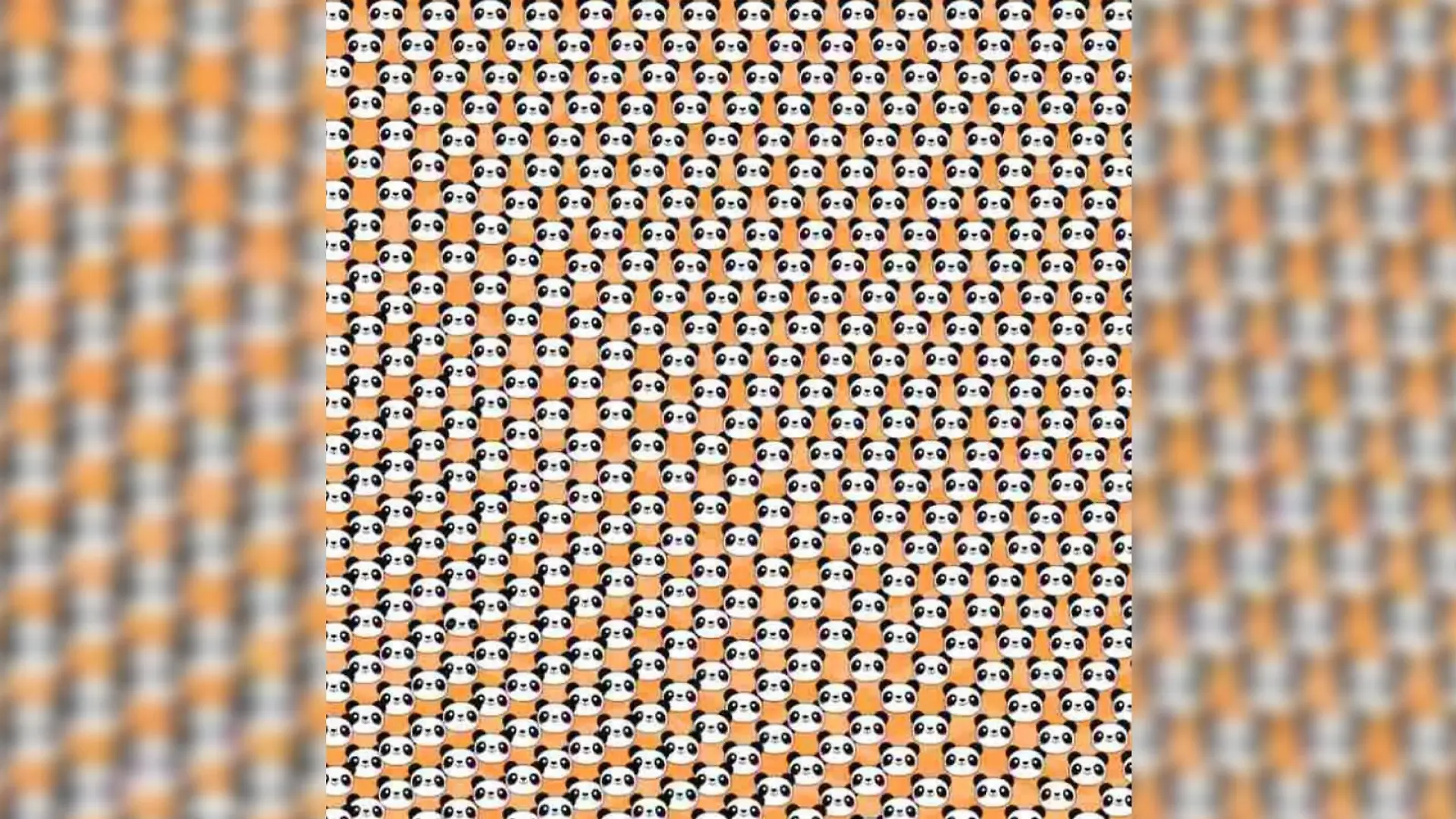 Suchbild trauriger Panda
