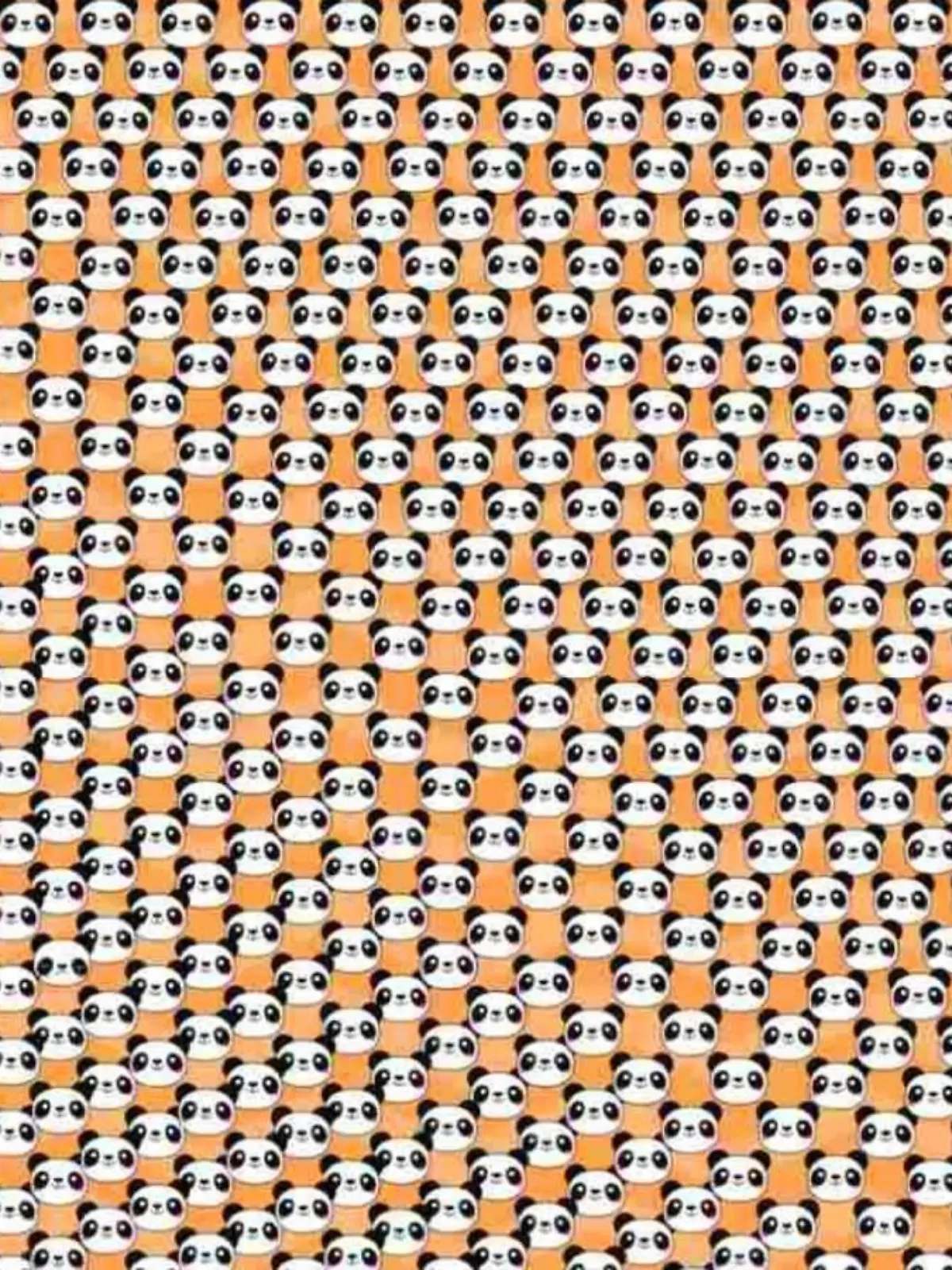 Suchbild trauriger Panda