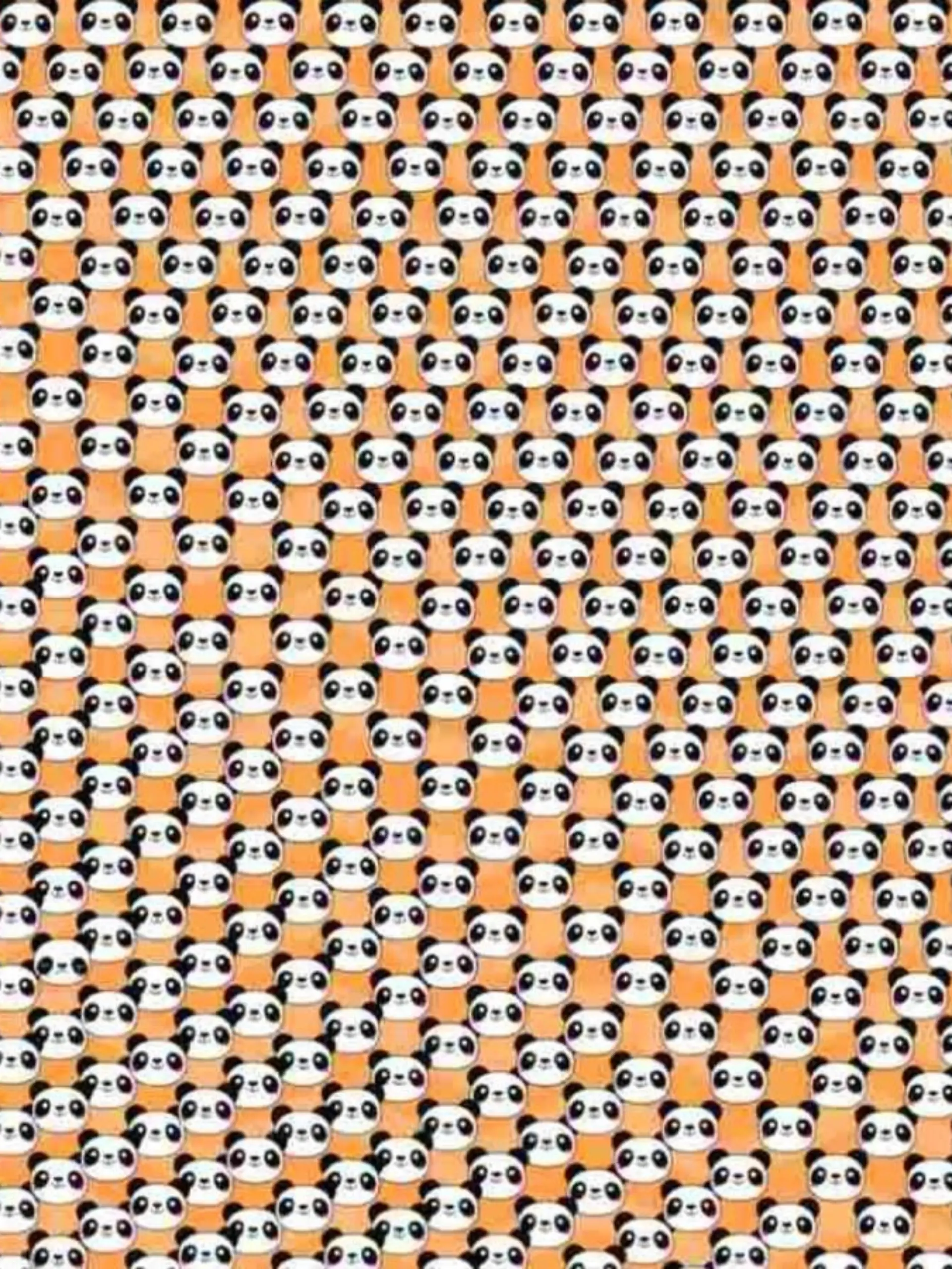 Suchbild trauriger Panda