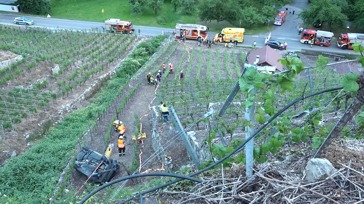Drama am Weinberg bei Mundelsheim.
