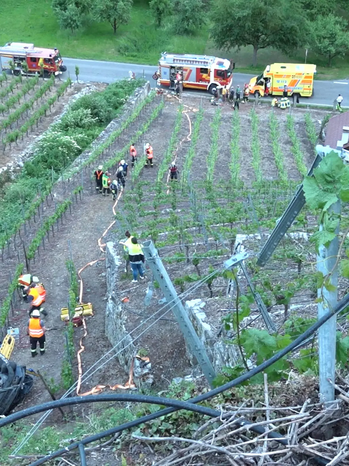 Drama am Weinberg bei Mundelsheim.