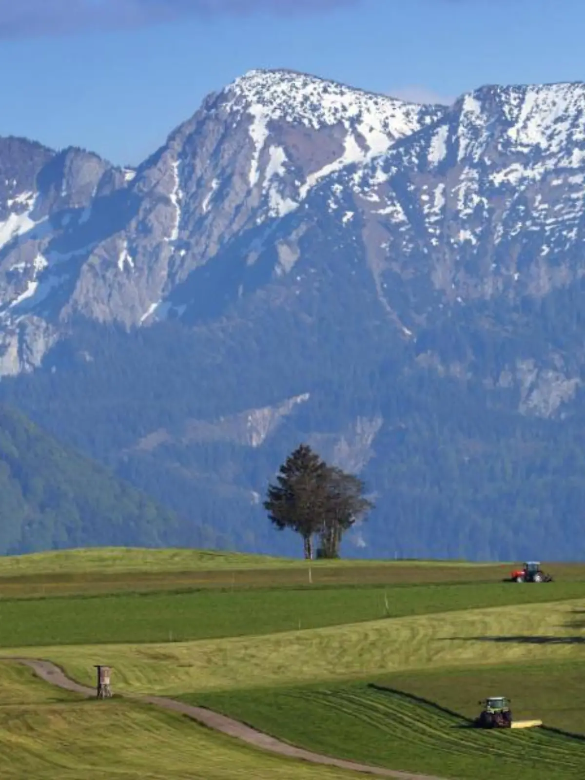 Die Sonne scheint über den Alpen