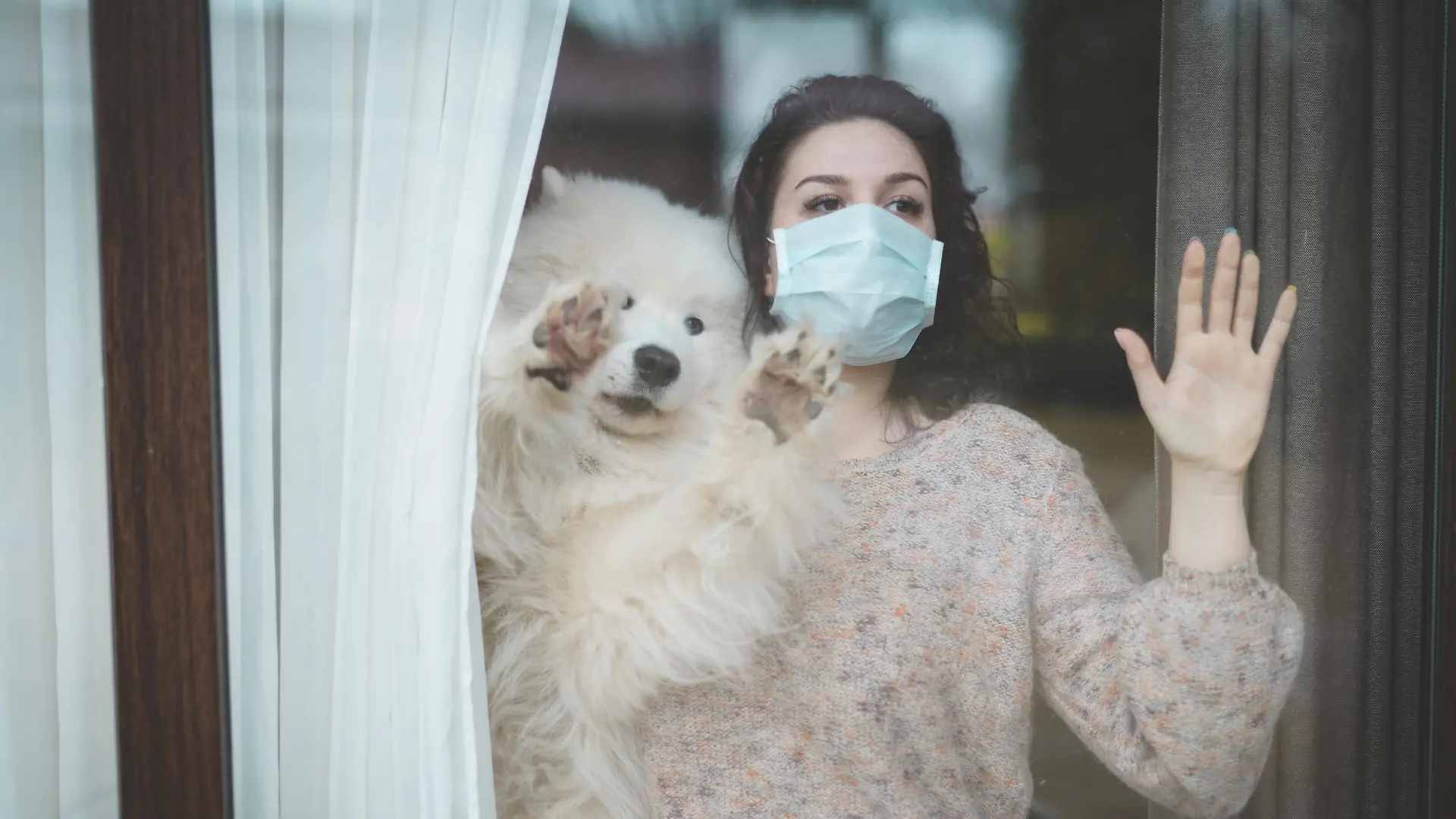 Frau steht mit Hund am Fenster