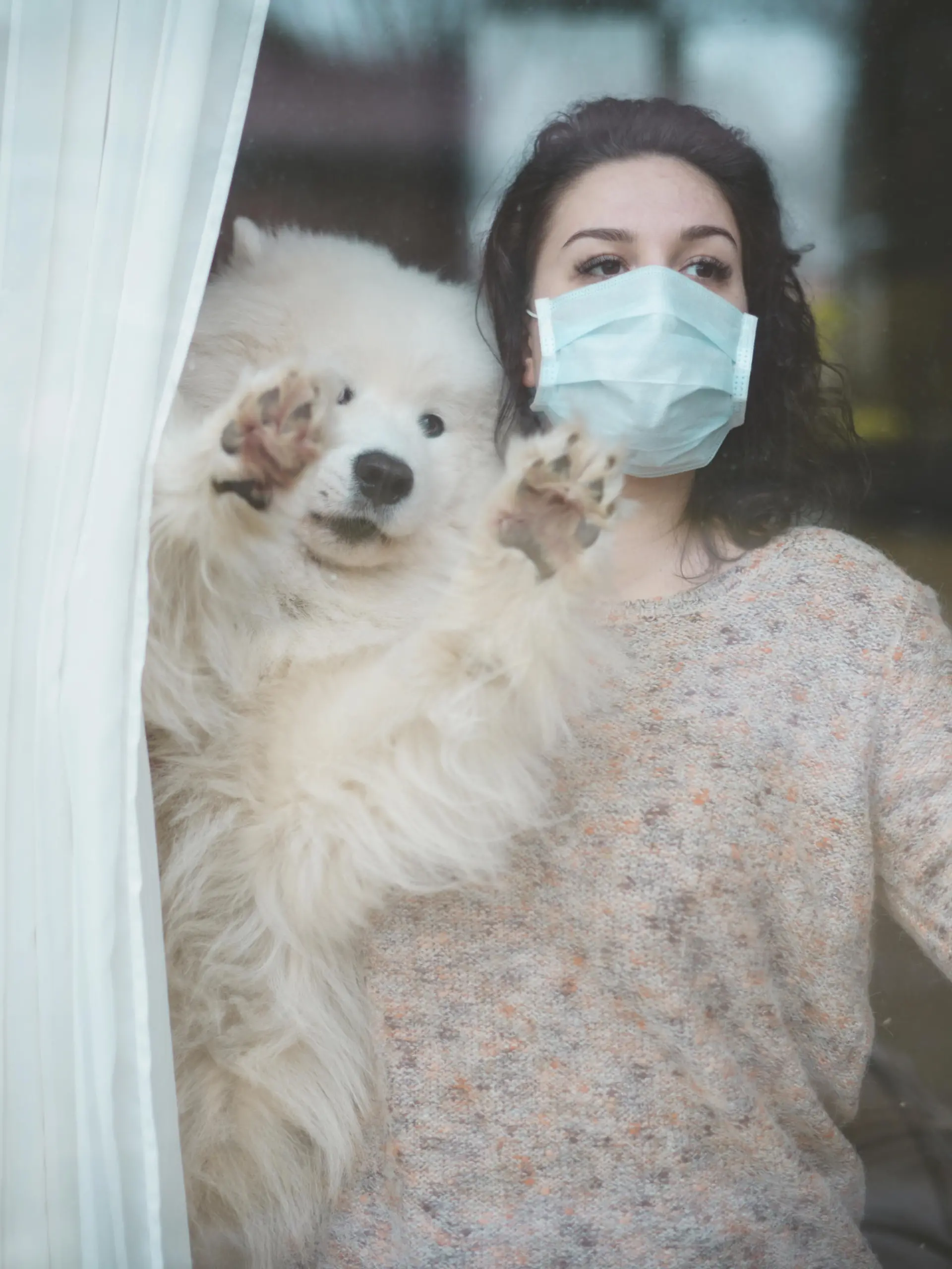 Frau steht mit Hund am Fenster