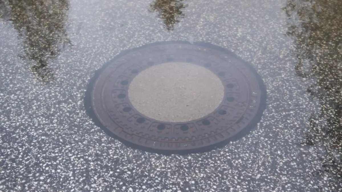Bäume spiegeln sich im Wasser eines überschwemmten Gullydeckels