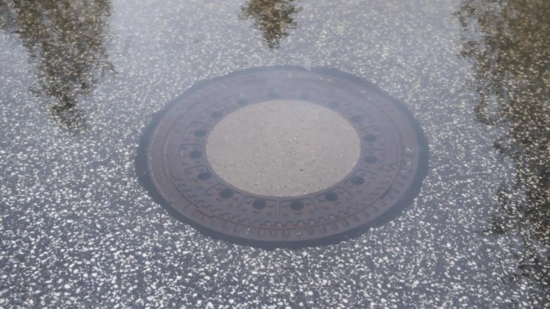 Bäume spiegeln sich im Wasser eines überschwemmten Gullydeckels